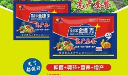 新闻直通车爆料最新消息,最新热点事件深度解析