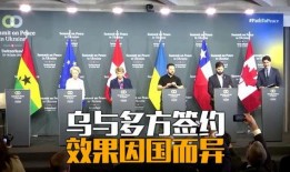 爆料美国外交官视频大全,视频大全中的真实与争议